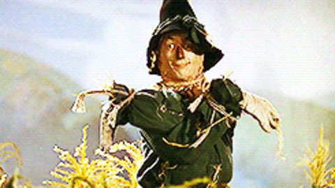 audit report recommendations