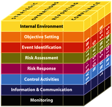 COSO Model