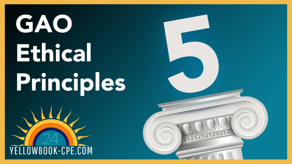 What are GAO ethical principles?